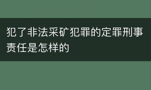 犯了非法采矿犯罪的定罪刑事责任是怎样的