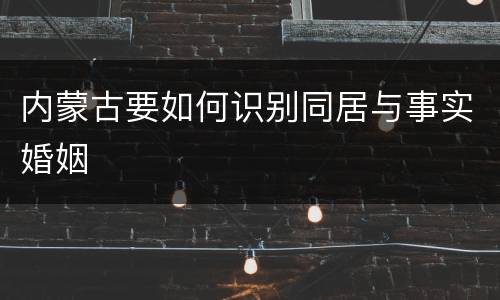 内蒙古要如何识别同居与事实婚姻