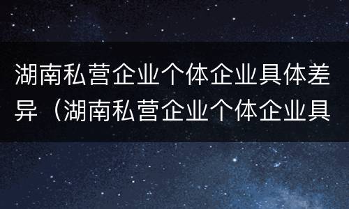 湖南私营企业个体企业具体差异（湖南私营企业个体企业具体差异分析）