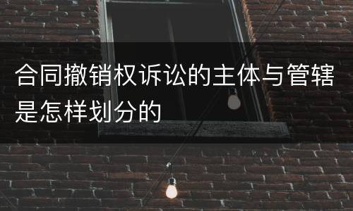 合同撤销权诉讼的主体与管辖是怎样划分的