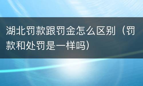 湖北罚款跟罚金怎么区别（罚款和处罚是一样吗）