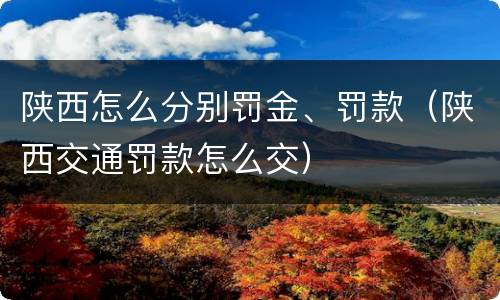 陕西怎么分别罚金、罚款（陕西交通罚款怎么交）