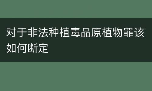 对于非法种植毒品原植物罪该如何断定