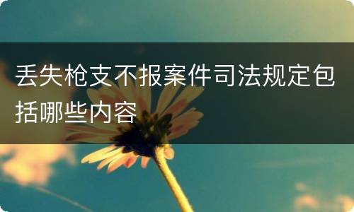 丢失枪支不报案件司法规定包括哪些内容