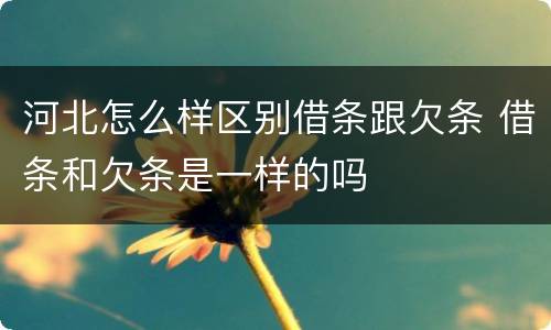 河北怎么样区别借条跟欠条 借条和欠条是一样的吗