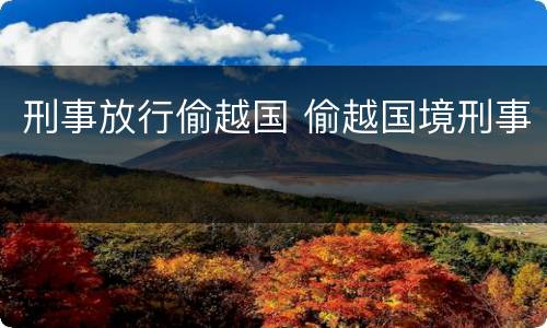刑事放行偷越国 偷越国境刑事