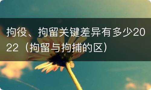 拘役、拘留关键差异有多少2022（拘留与拘捕的区）