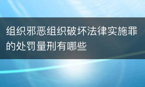 组织邪恶组织破坏法律实施罪的处罚量刑有哪些