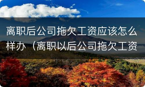 离职后公司拖欠工资应该怎么样办（离职以后公司拖欠工资怎么办）