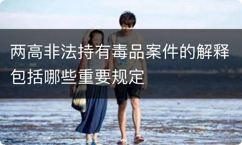 两高非法持有毒品案件的解释包括哪些重要规定