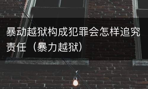 暴动越狱构成犯罪会怎样追究责任（暴力越狱）