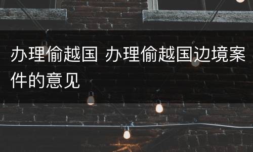 办理偷越国 办理偷越国边境案件的意见