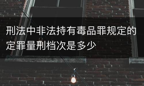 刑法中非法持有毒品罪规定的定罪量刑档次是多少