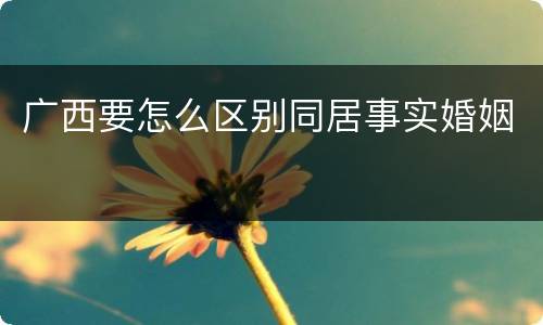 广西要怎么区别同居事实婚姻