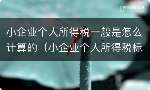 小企业个人所得税一般是怎么计算的（小企业个人所得税标准）