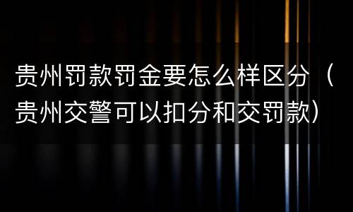 贵州罚款罚金要怎么样区分（贵州交警可以扣分和交罚款）