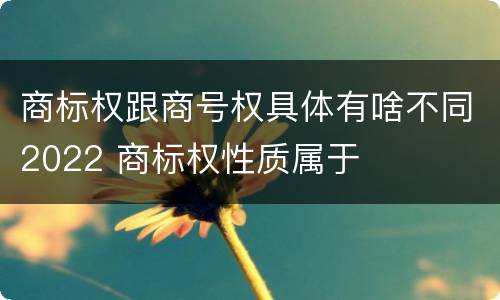 商标权跟商号权具体有啥不同2022 商标权性质属于