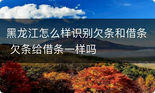 黑龙江怎么样识别欠条和借条 欠条给借条一样吗