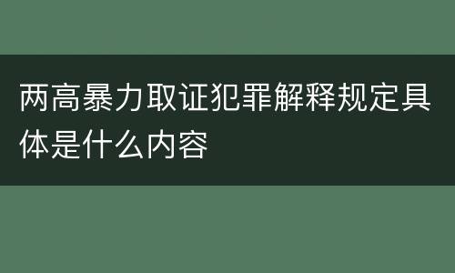 两高暴力取证犯罪解释规定具体是什么内容