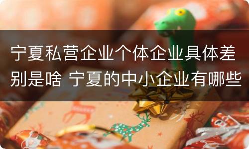 宁夏私营企业个体企业具体差别是啥 宁夏的中小企业有哪些