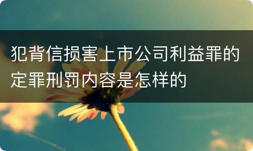 犯背信损害上市公司利益罪的定罪刑罚内容是怎样的