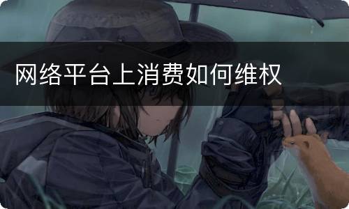 网络平台上消费如何维权