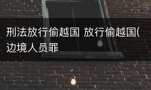 刑法放行偷越国 放行偷越国(边境人员罪