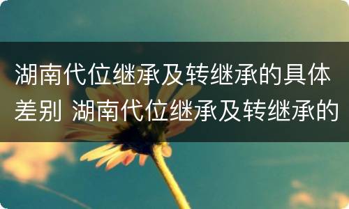 湖南代位继承及转继承的具体差别 湖南代位继承及转继承的具体差别有哪些