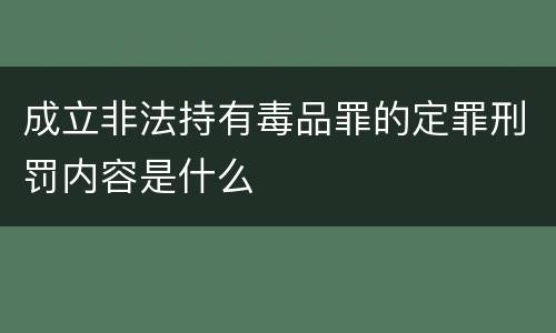 成立非法持有毒品罪的定罪刑罚内容是什么