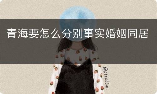 青海要怎么分别事实婚姻同居