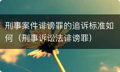 刑事案件诽谤罪的追诉标准如何（刑事诉讼法诽谤罪）