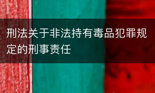 刑法关于非法持有毒品犯罪规定的刑事责任