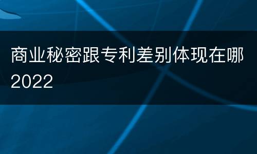 商业秘密跟专利差别体现在哪2022