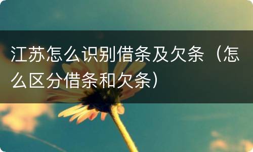 江苏怎么识别借条及欠条（怎么区分借条和欠条）