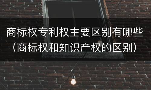商标权专利权主要区别有哪些（商标权和知识产权的区别）