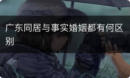 广东同居与事实婚姻都有何区别