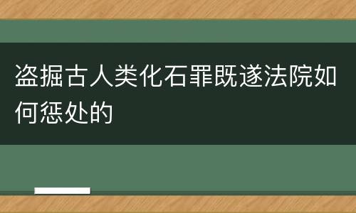 盗掘古人类化石罪既遂法院如何惩处的