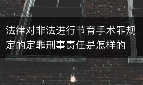 法律对非法进行节育手术罪规定的定罪刑事责任是怎样的