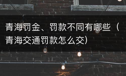青海罚金、罚款不同有哪些（青海交通罚款怎么交）