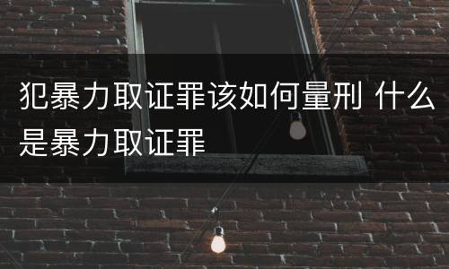 犯暴力取证罪该如何量刑 什么是暴力取证罪