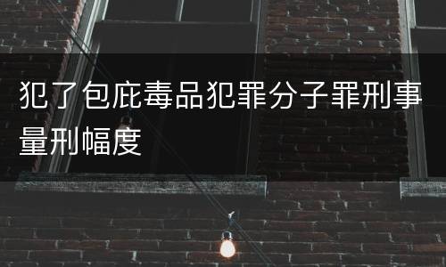 犯了包庇毒品犯罪分子罪刑事量刑幅度