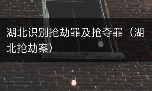 湖北识别抢劫罪及抢夺罪（湖北抢劫案）