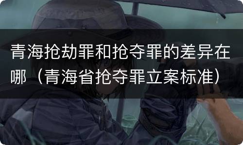 青海抢劫罪和抢夺罪的差异在哪（青海省抢夺罪立案标准）