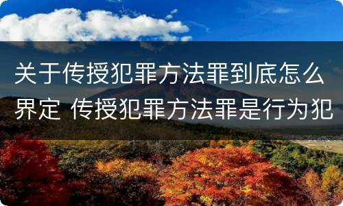 关于传授犯罪方法罪到底怎么界定 传授犯罪方法罪是行为犯吗