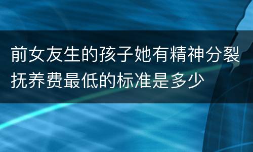 前女友生的孩子她有精神分裂抚养费最低的标准是多少