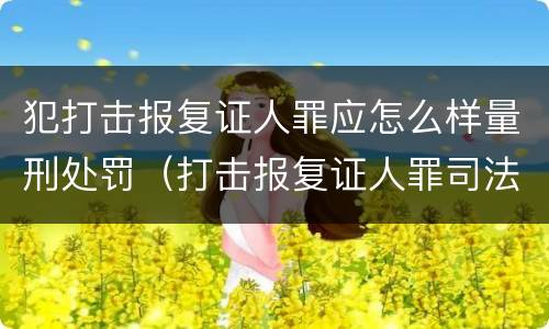 犯打击报复证人罪应怎么样量刑处罚（打击报复证人罪司法解释）