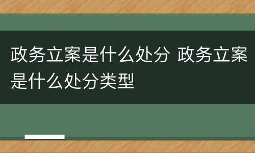 政务立案是什么处分 政务立案是什么处分类型