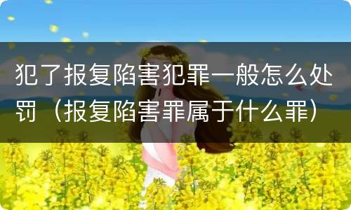 犯了报复陷害犯罪一般怎么处罚（报复陷害罪属于什么罪）