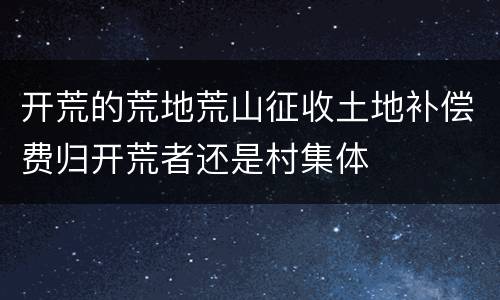 开荒的荒地荒山征收土地补偿费归开荒者还是村集体