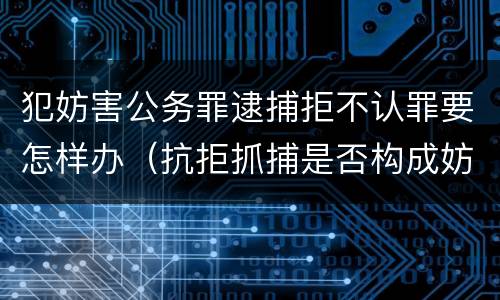 犯妨害公务罪逮捕拒不认罪要怎样办（抗拒抓捕是否构成妨害公务罪）